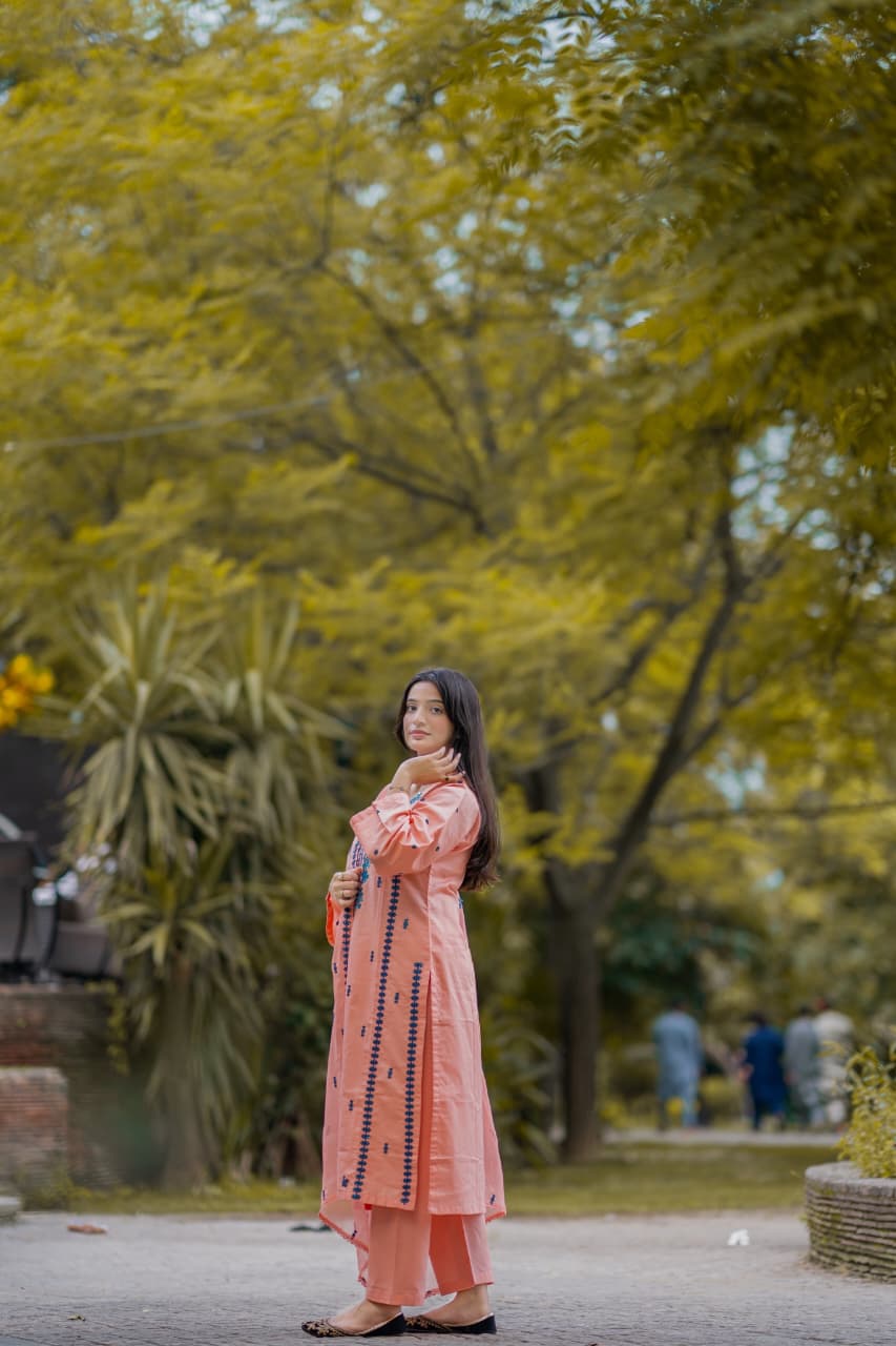 Zeenat  Lawn 3pc Embridery