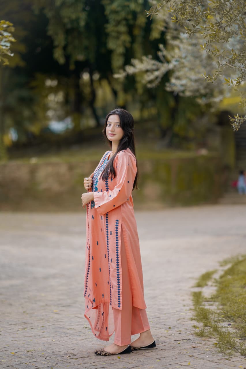 Zeenat  Lawn 3pc Embridery